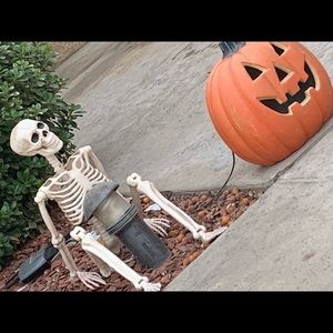 Meet your Posher, Jasmin